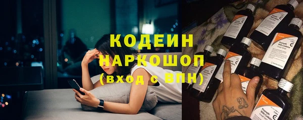 хмурый Магас