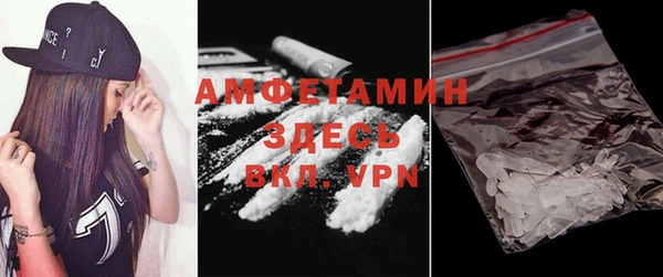 хмурый Магас