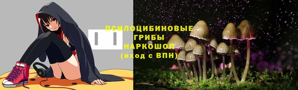 сатива Майский