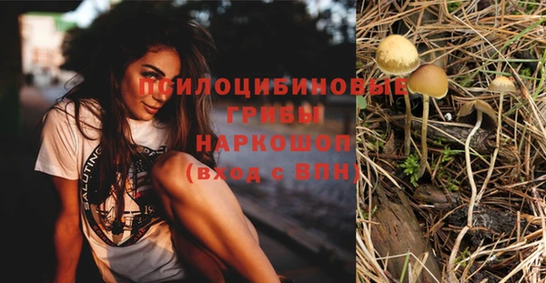 сатива Майский