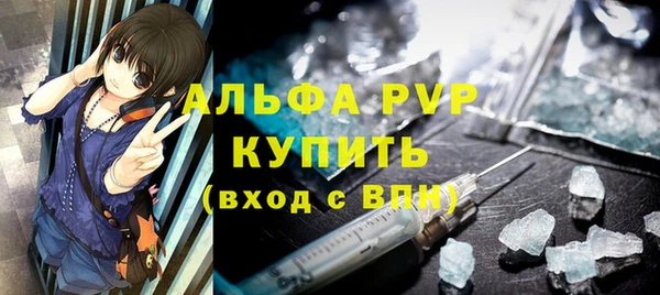 хмурый Магас