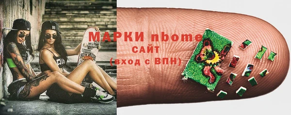 хмурый Магас