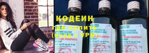 хмурый Магас