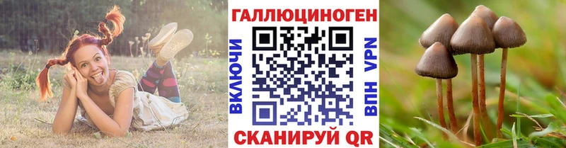 где найти   Шадринск  darknet официальный сайт  Псилоцибиновые грибы прущие грибы 